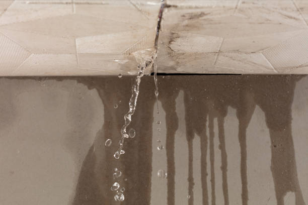 Professional Flood Damage Cleanup technician working in Horton, AL